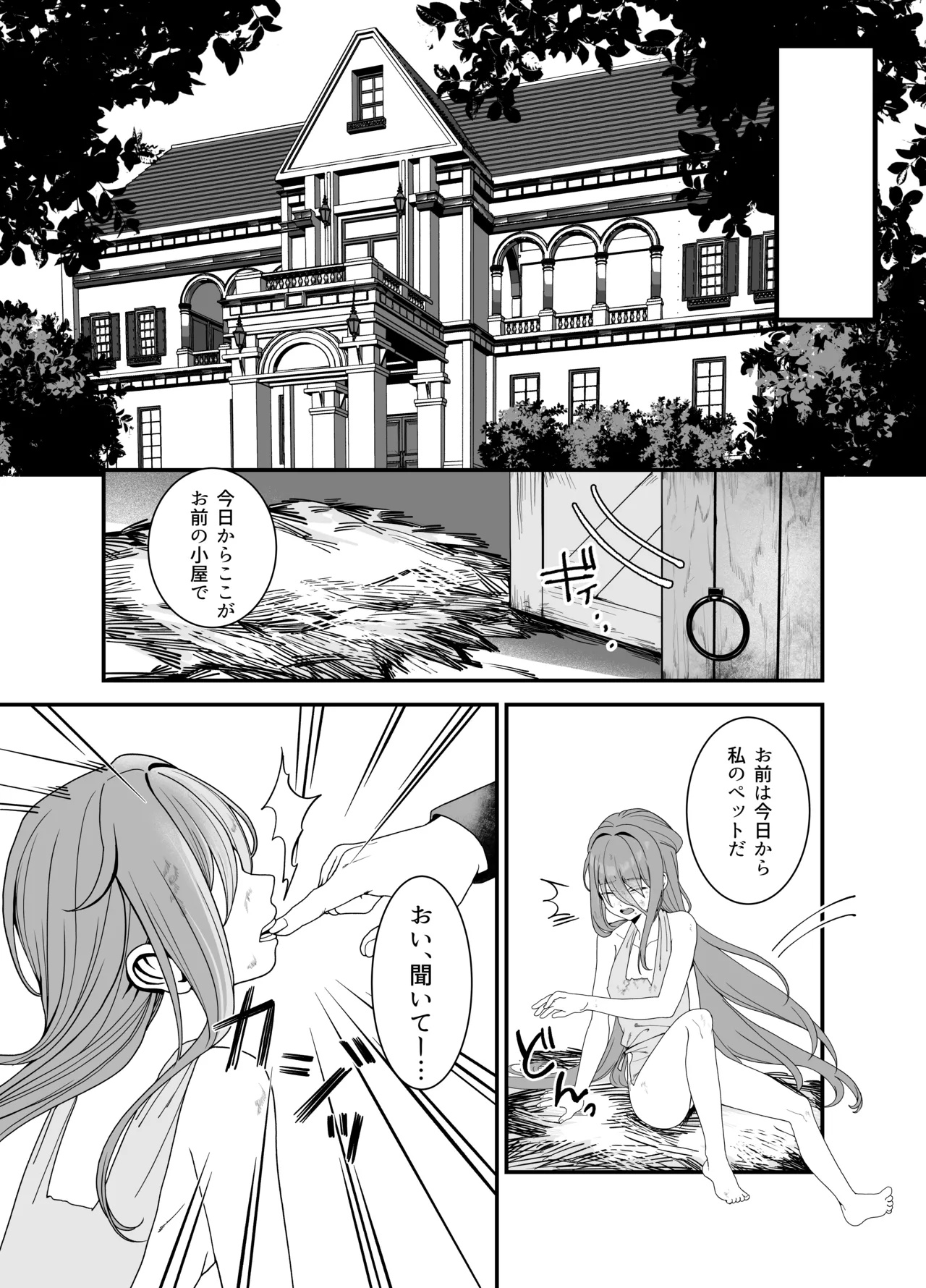 どれいがペットにそだつまで Page.6