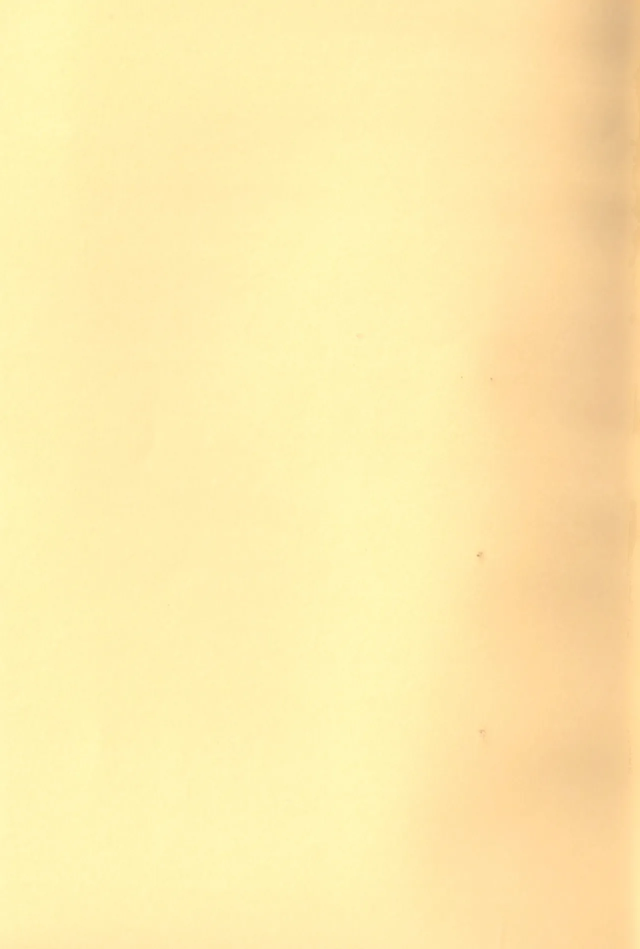 O ni ichi yantoisshowoisshoniyaritasugiru domesutikkuparipi Page.23