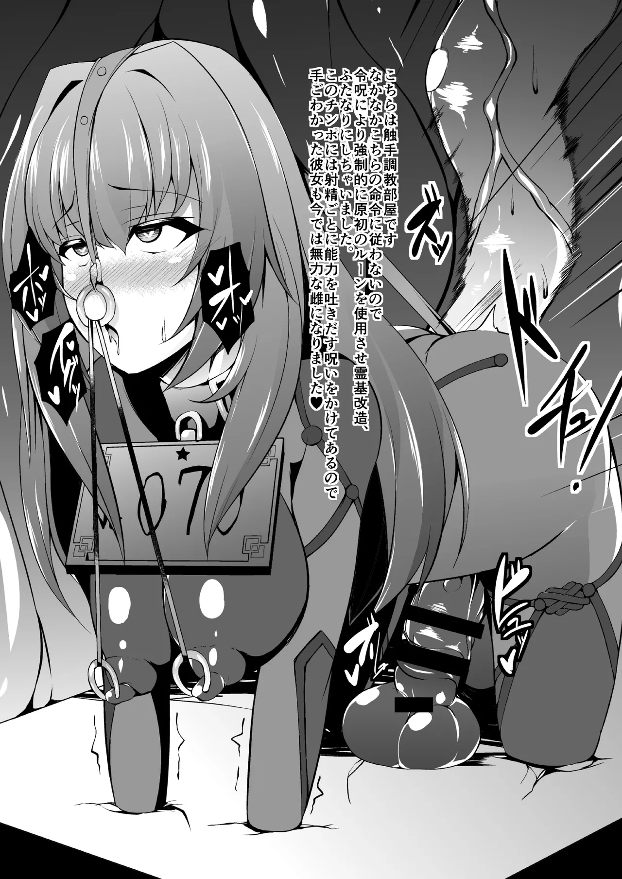 家畜調教組織CHALDEA Page.11