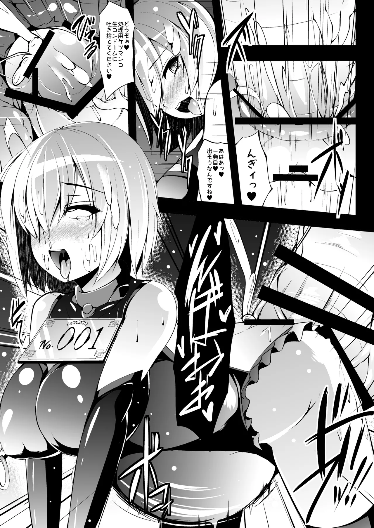 家畜調教組織CHALDEA Page.23