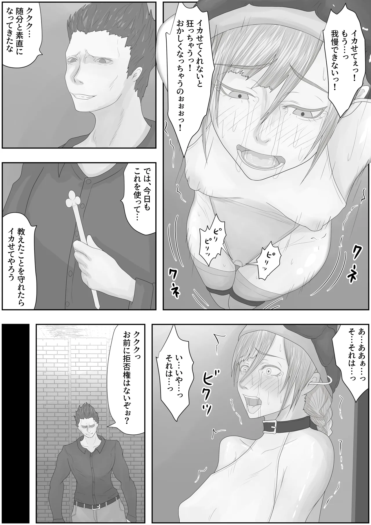 帝国家畜化調教2 竜騎士レティシア Page.14