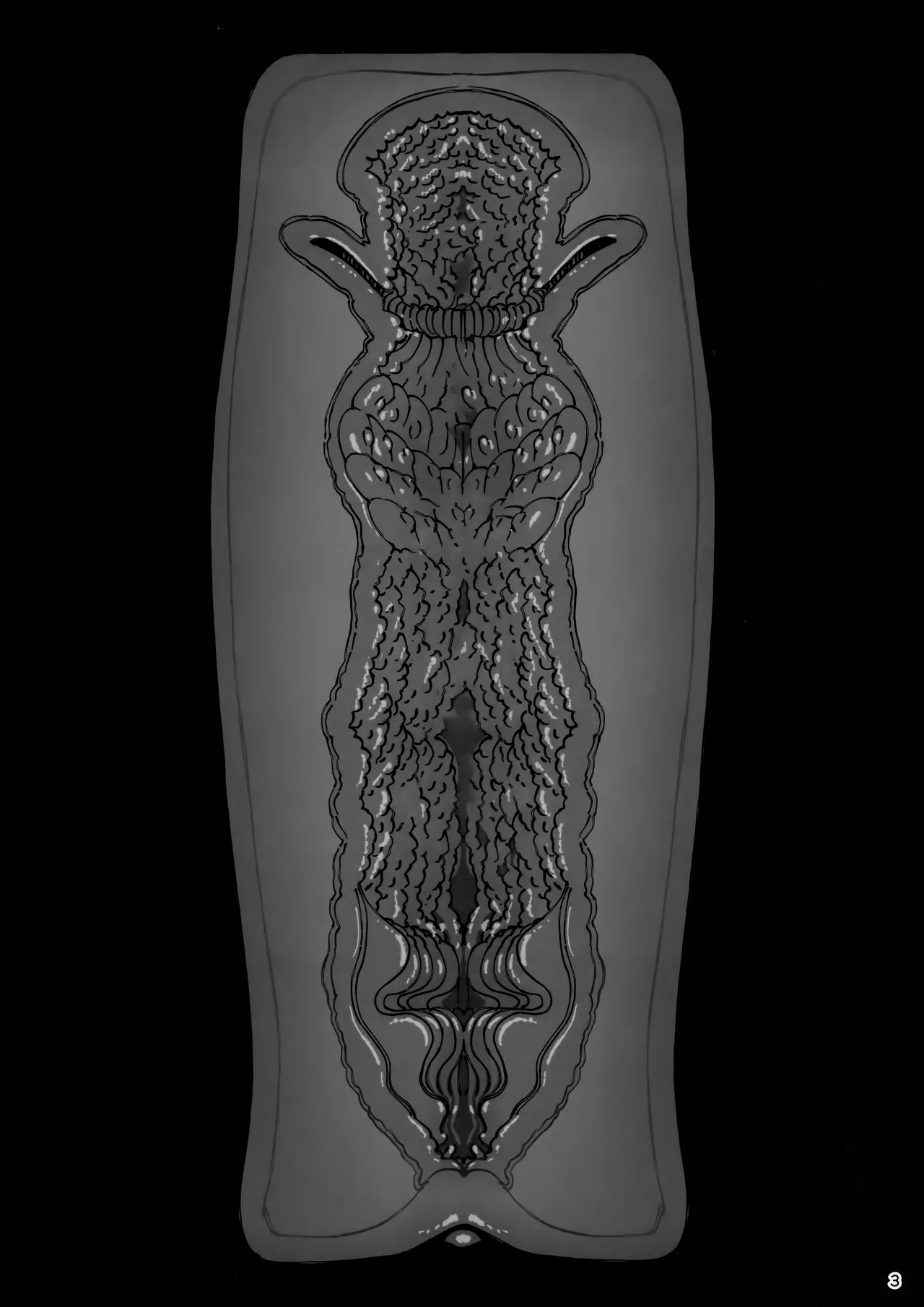 大切に人間として育てていただいたのにオナホでごめんなさい♥ Page.3