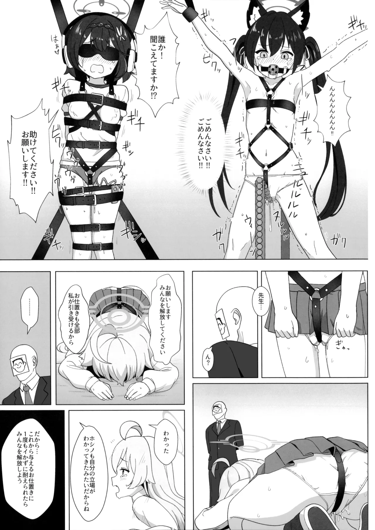 ホシノのハーネス増やしてみた Page.12