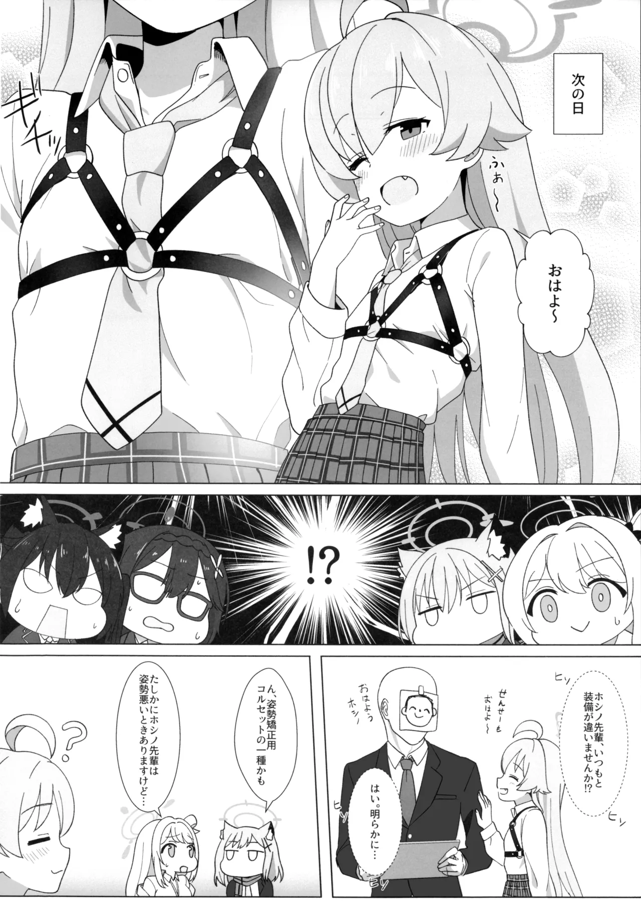 ホシノのハーネス増やしてみた Page.3