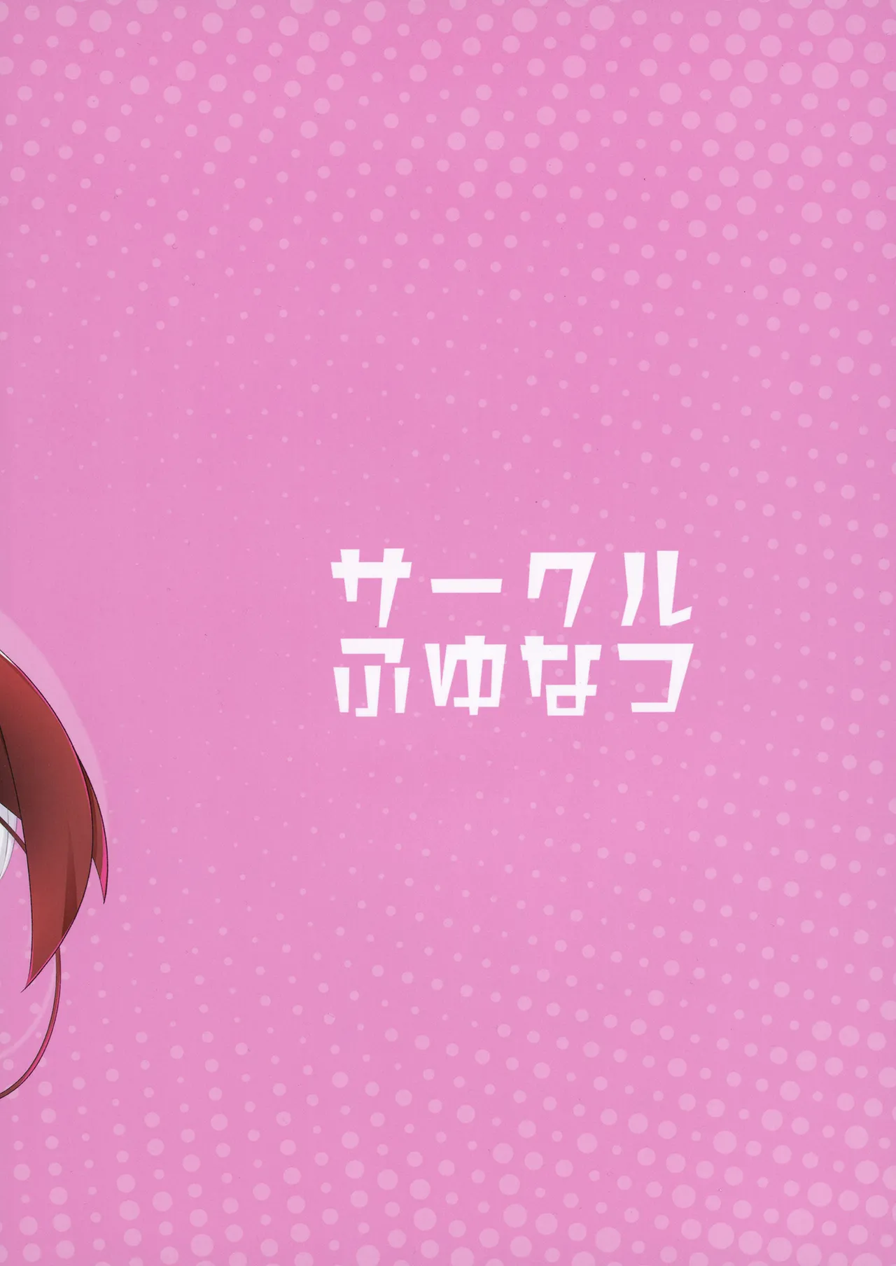 HAPIHAPI JUDGMENT Page.18