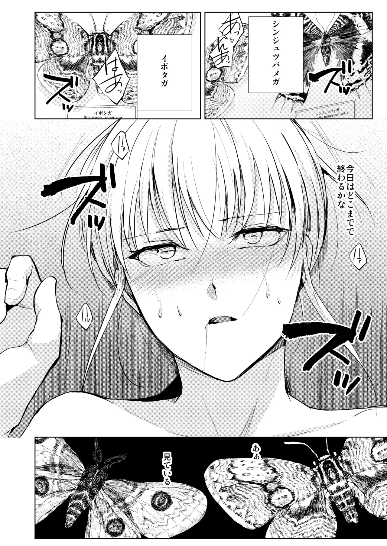 藤屋敷の標本 Page.21