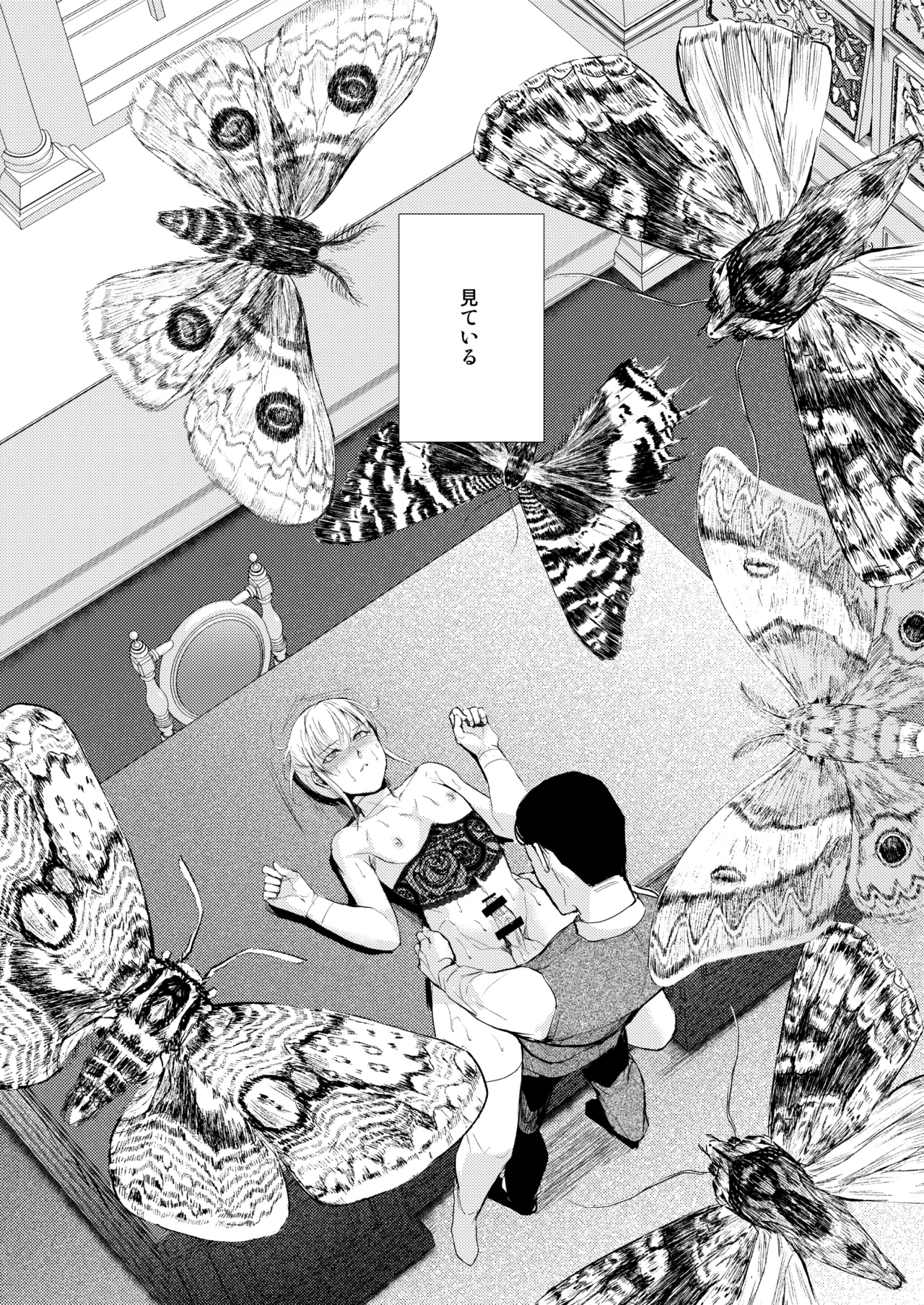 藤屋敷の標本 Page.22