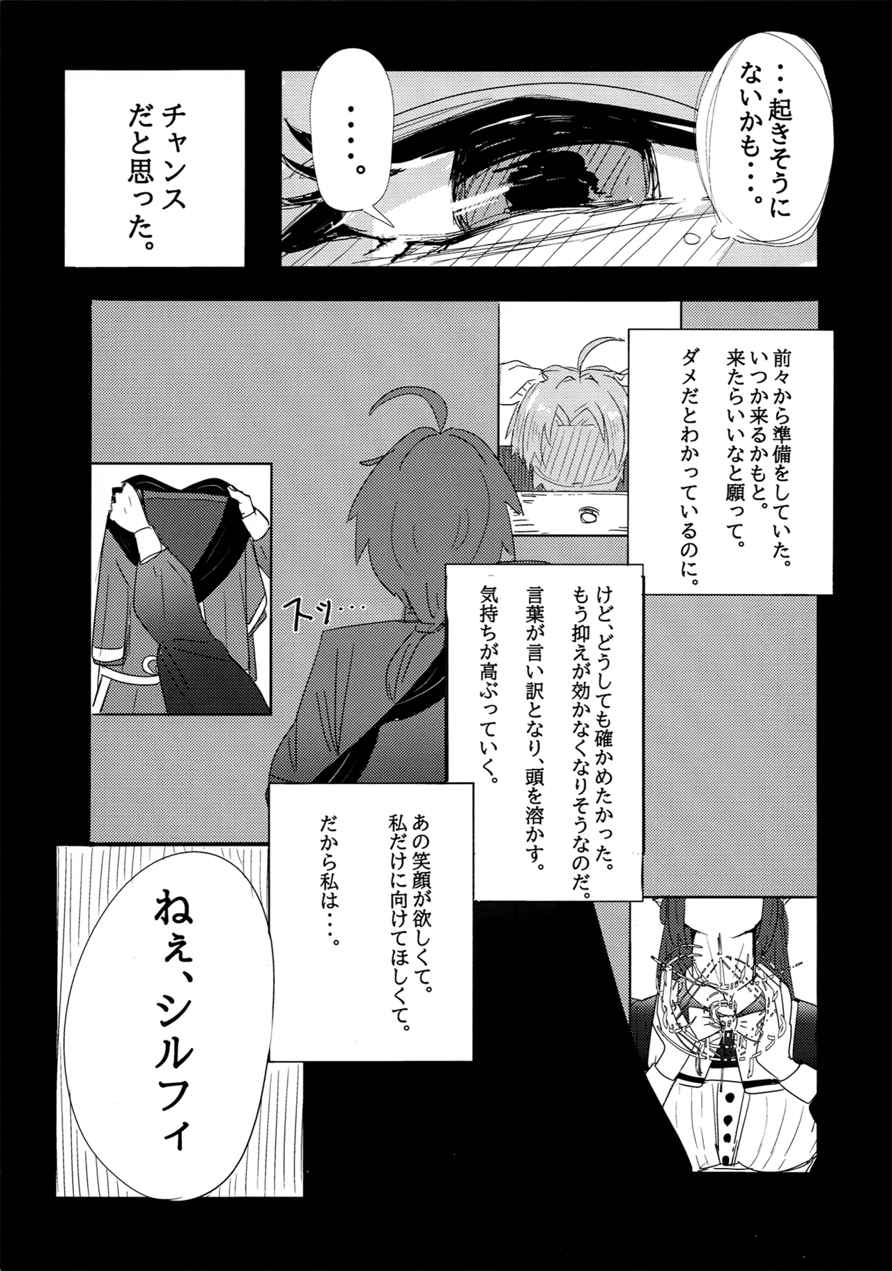 アイシエット アイシャ × シルフィエット 本 Page.13