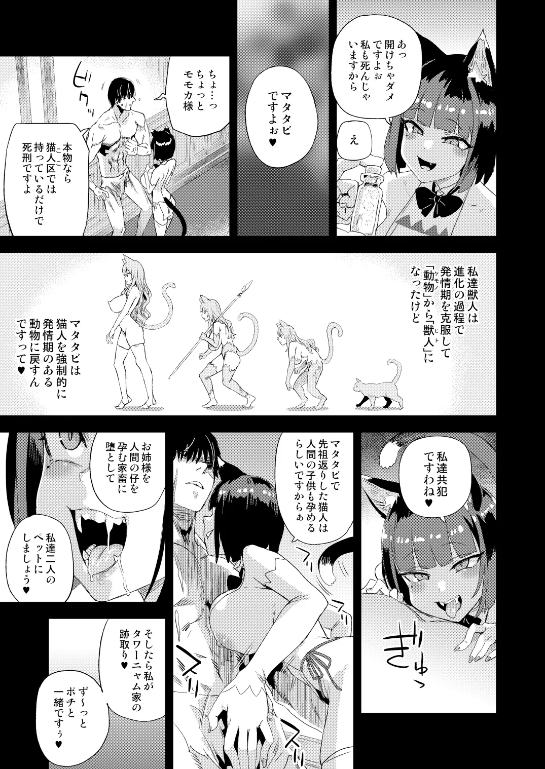 猫族娘はヒトを飼う。 Page.12