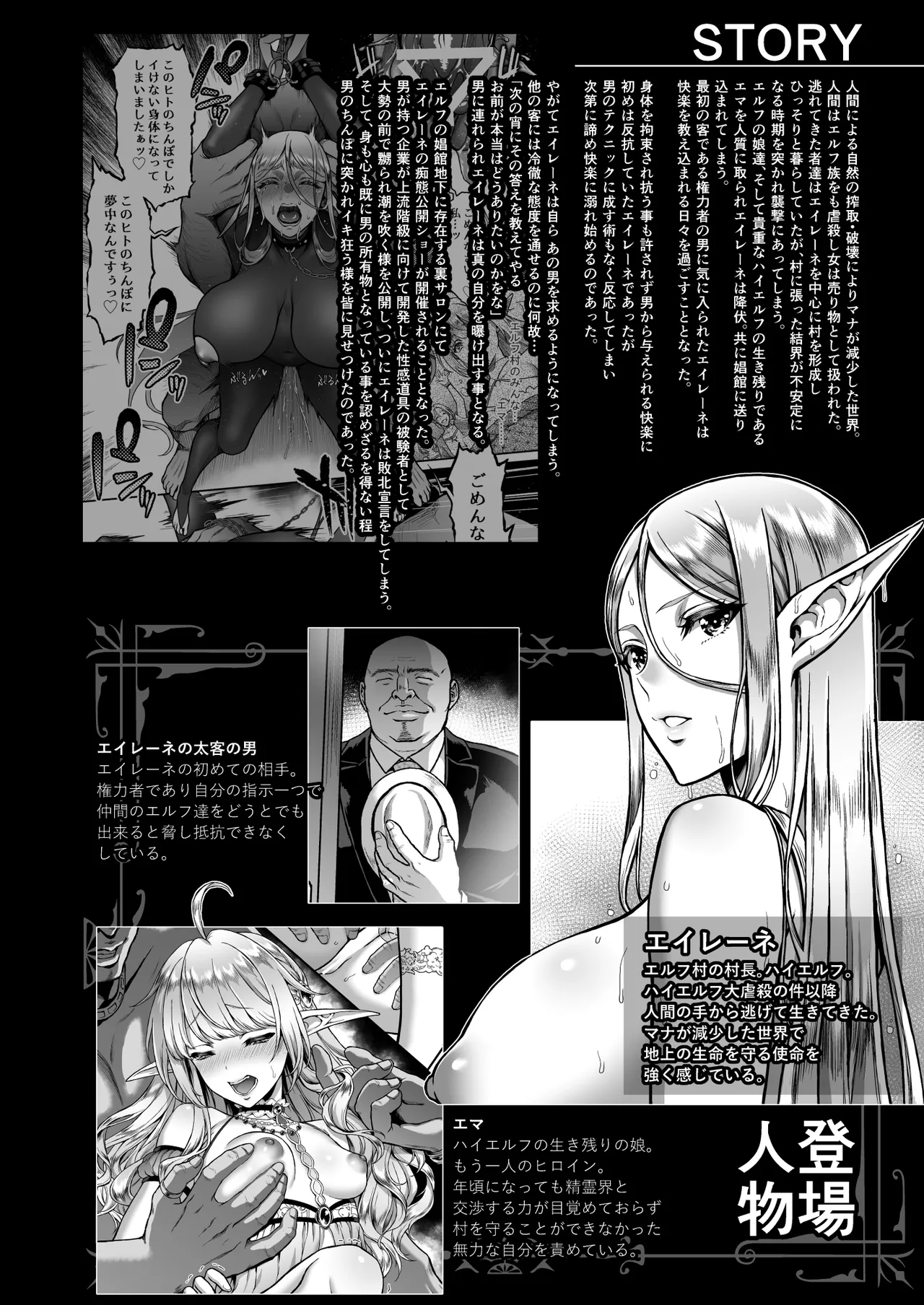 黄昏の娼エルフ9-娼婦にされた気高きハイエルフ5 Page.4