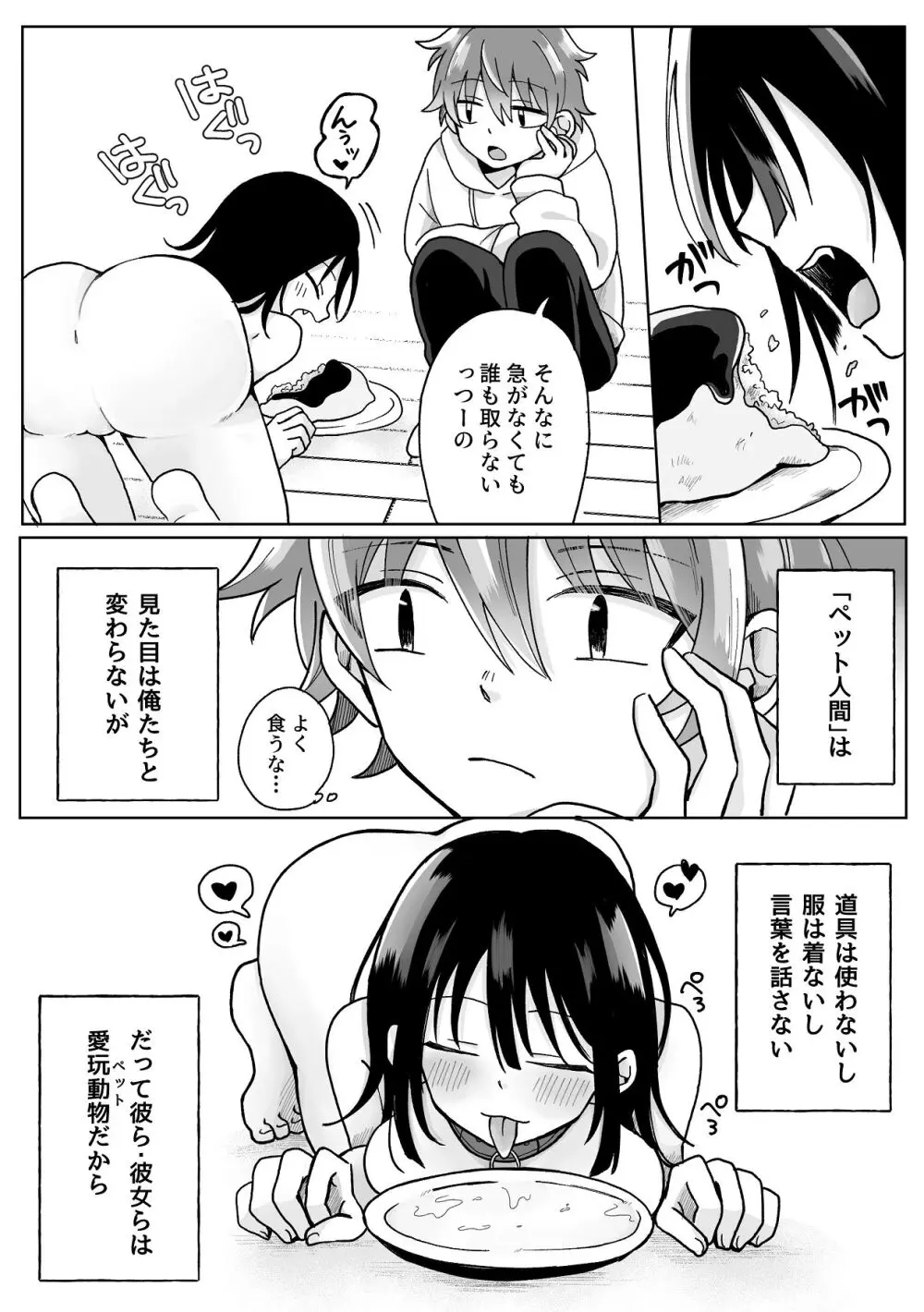 俺の可愛い愛玩人間 Page.3