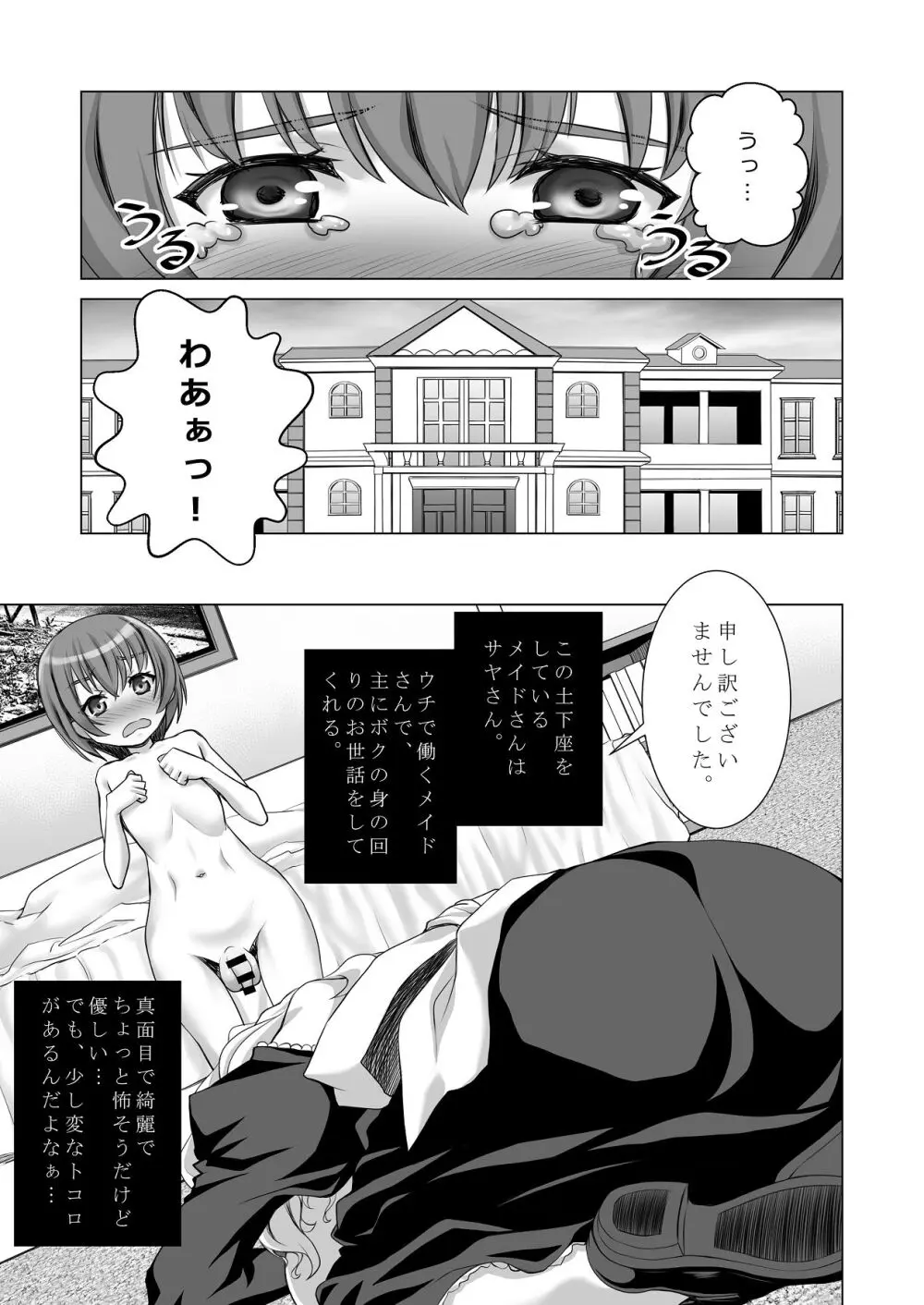 ウチのメイドさんはちょっと変 Page.4
