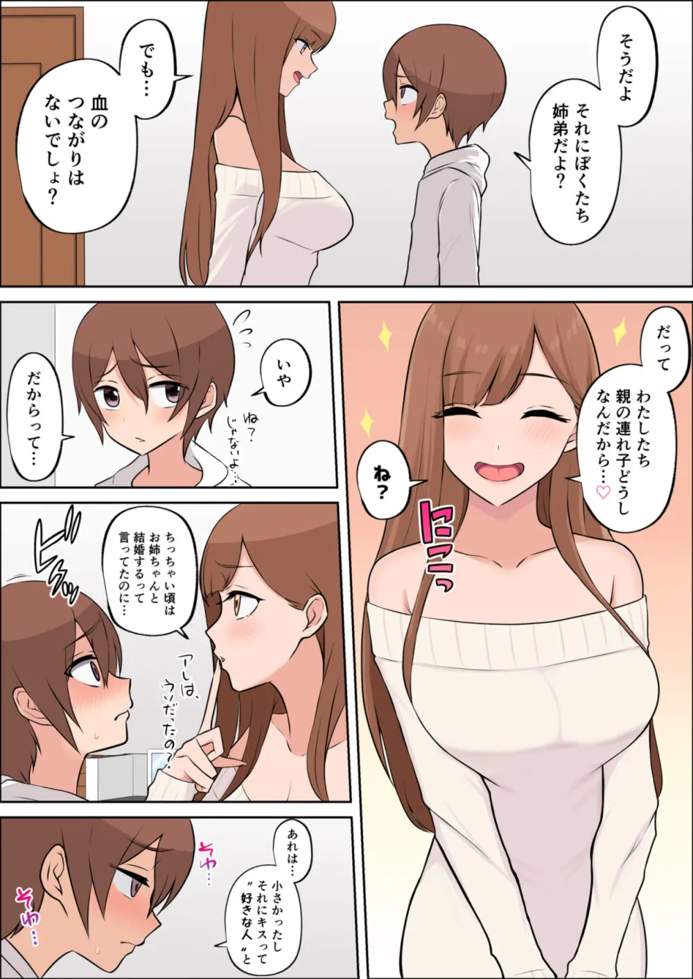 僕だけの絶対的お姉ちゃん Page.13