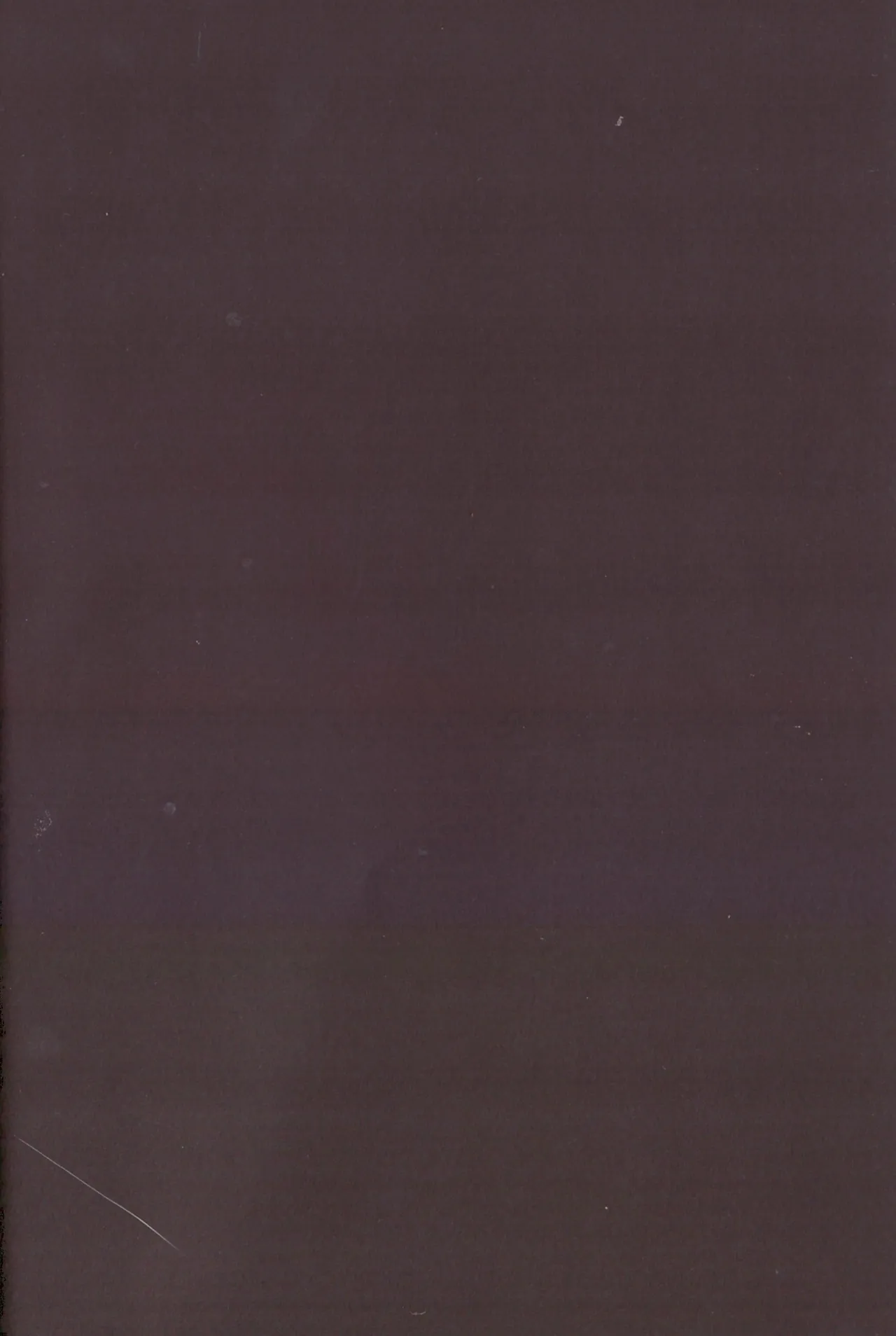 The other side of the mosaic Page.2