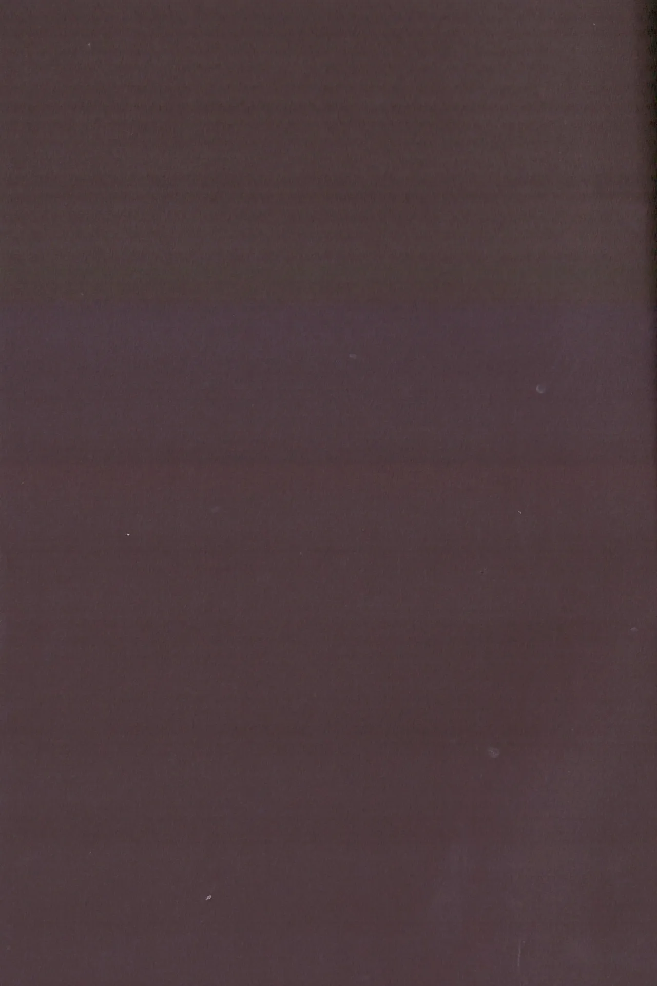 The other side of the mosaic Page.27