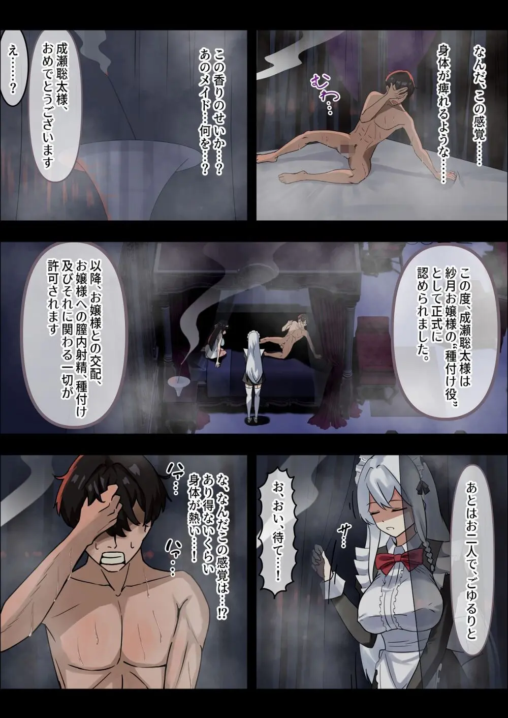 お嬢様の種付役にされた俺は、名家の令嬢を孕ませるほど種付け中出しをしてしまった…1 Page.25