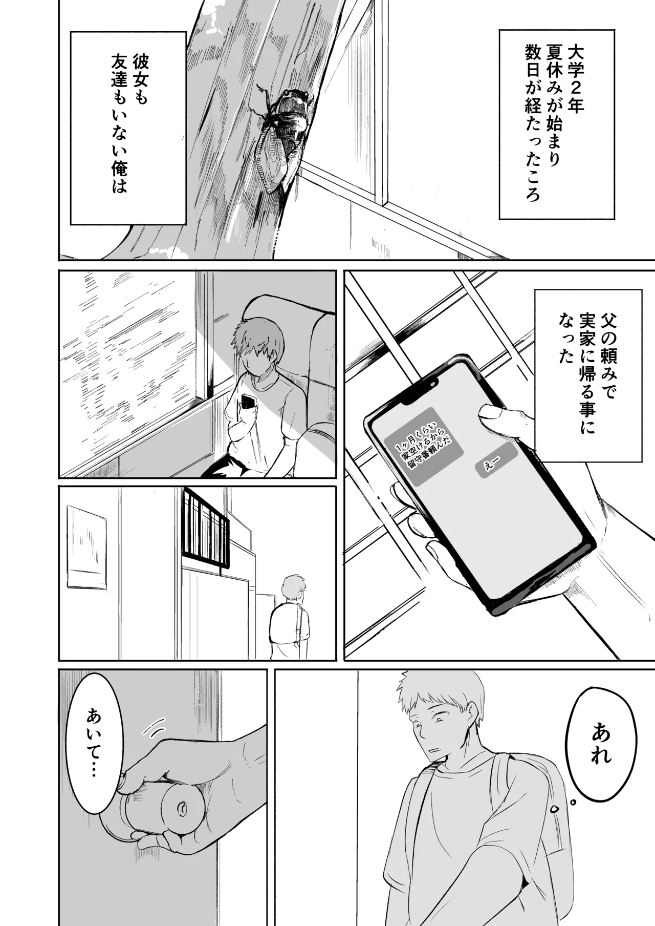お兄さんだけの義妹の穴（る） Page.4