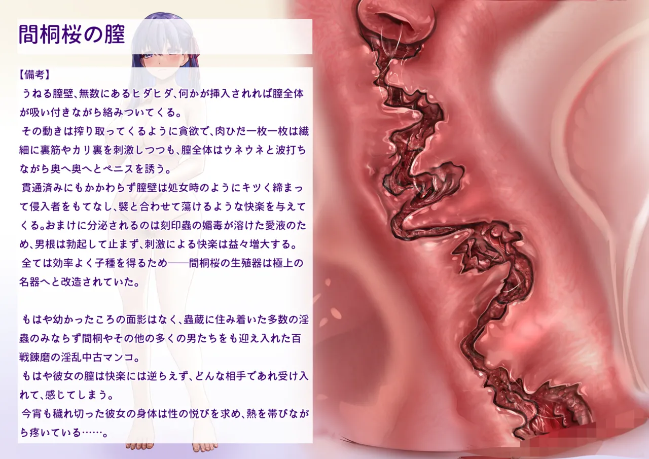 間桐桜のエロステ立ち絵 Page.42