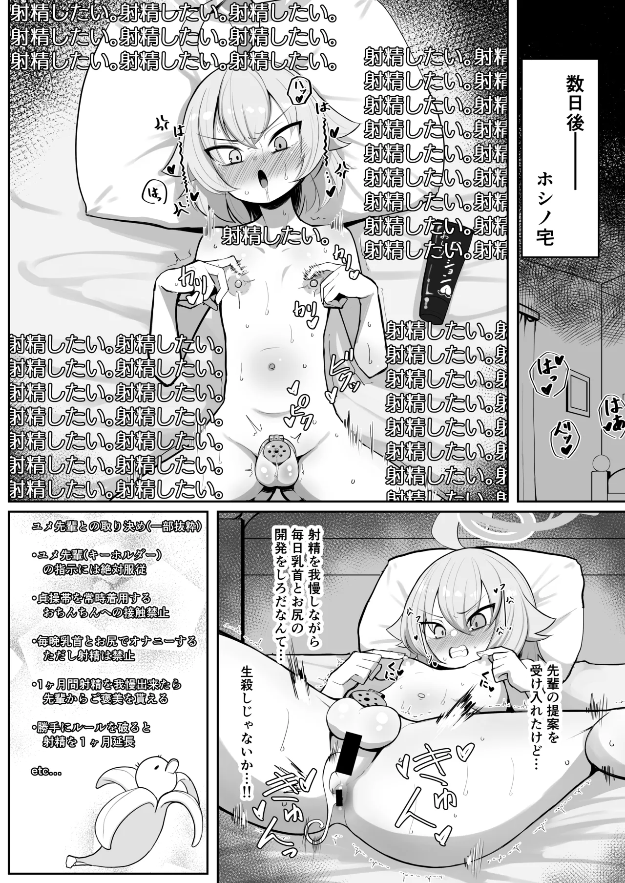 ふたなりマゾホシノちゃんVSドSユメ先輩 Page.14
