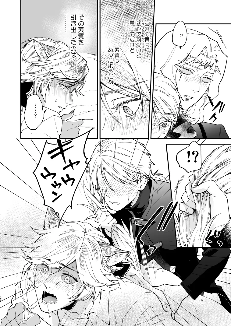 いぬのしつけと乱入者 Page.23