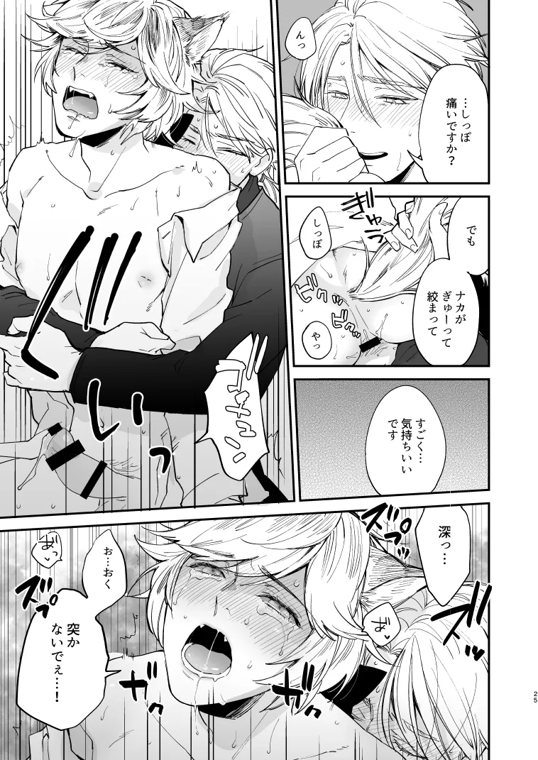 いぬのしつけと乱入者 Page.24