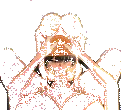 Bulma and Pan Page.2