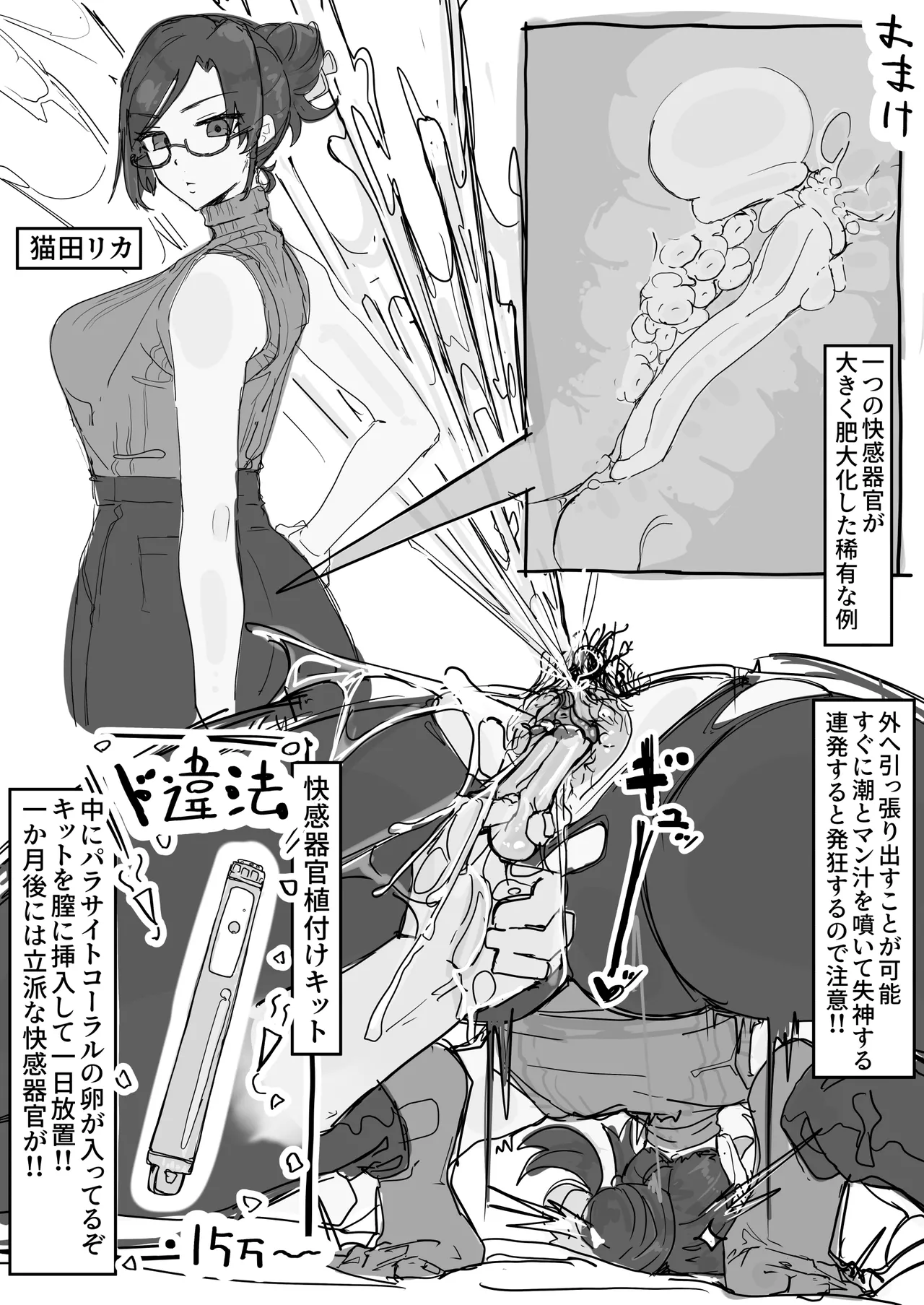 快感器官;寄生型 Page.49