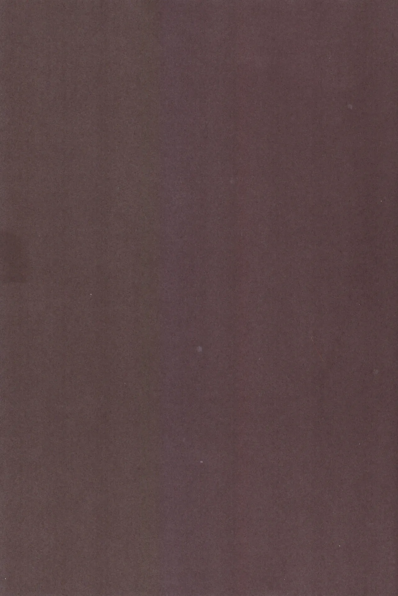 Shiri doru icchi to oshiri ni dashi tako ittō shō! Page.4