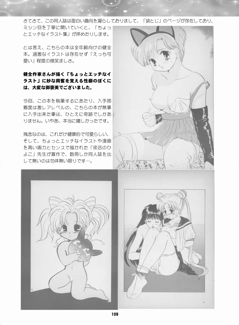 セラムン毒本 Page.108