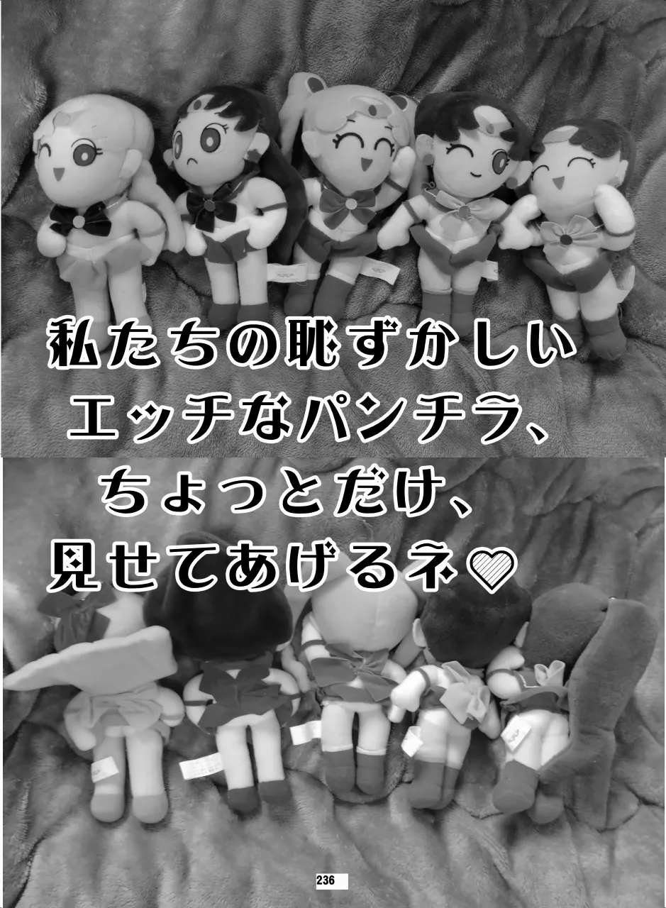 セラムン毒本 Page.235