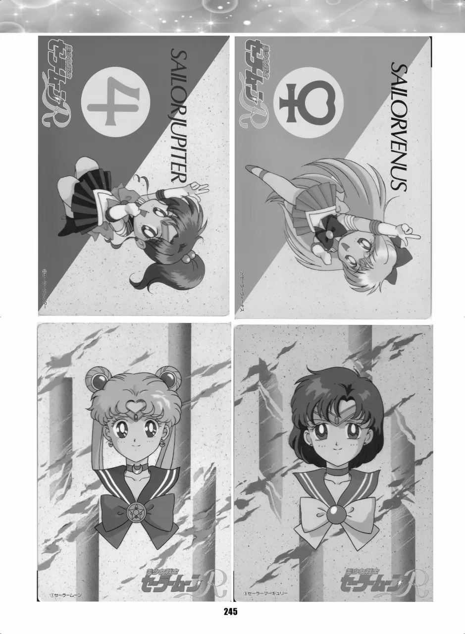 セラムン毒本 Page.244