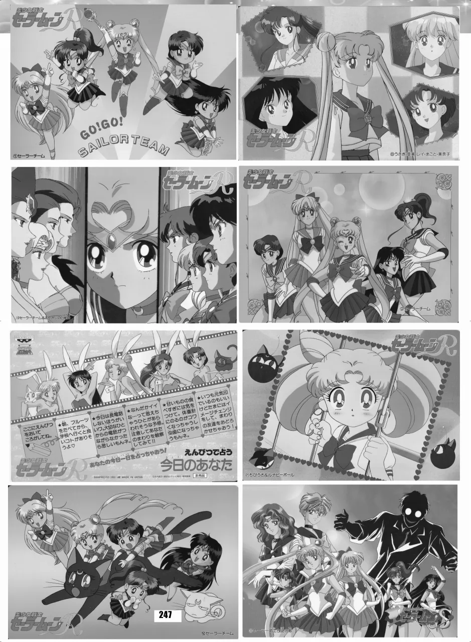 セラムン毒本 Page.246