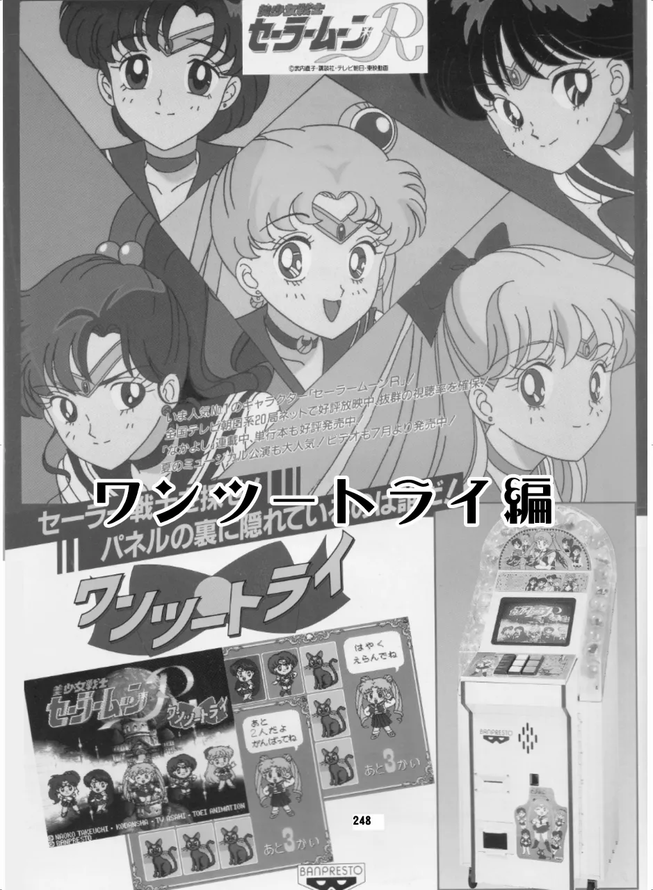 セラムン毒本 Page.247