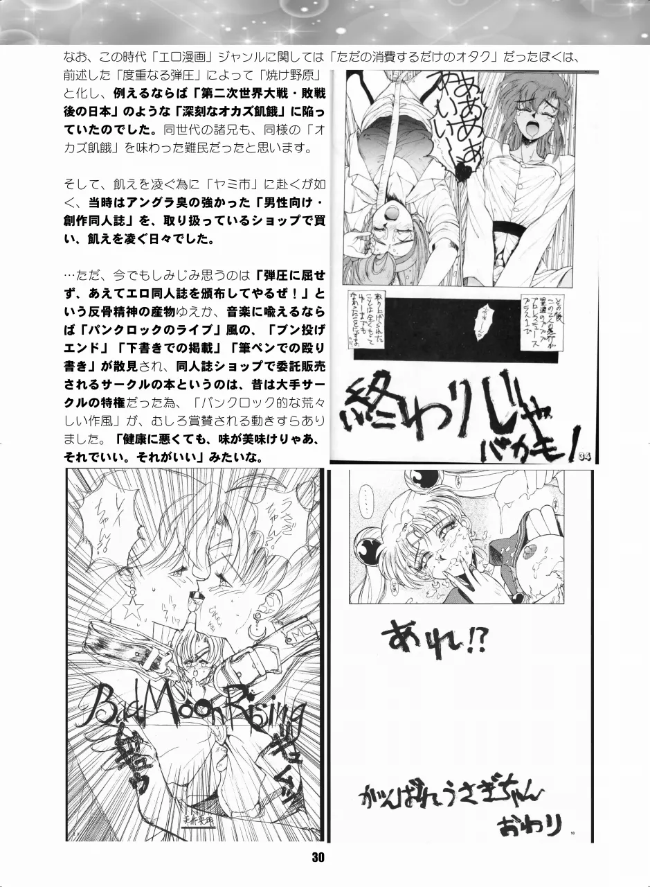 セラムン毒本 Page.29