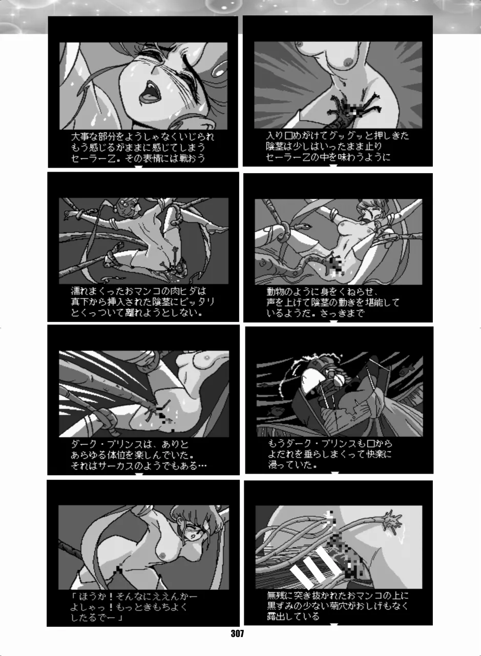 セラムン毒本 Page.306