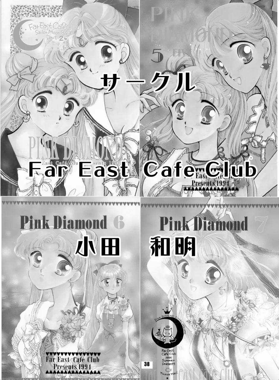 セラムン毒本 Page.37