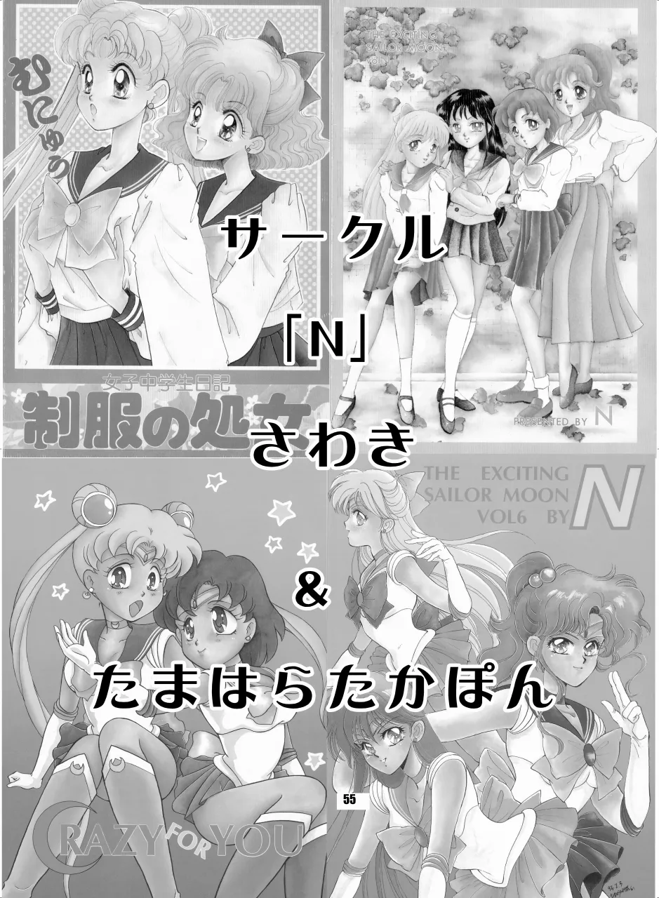 セラムン毒本 Page.54