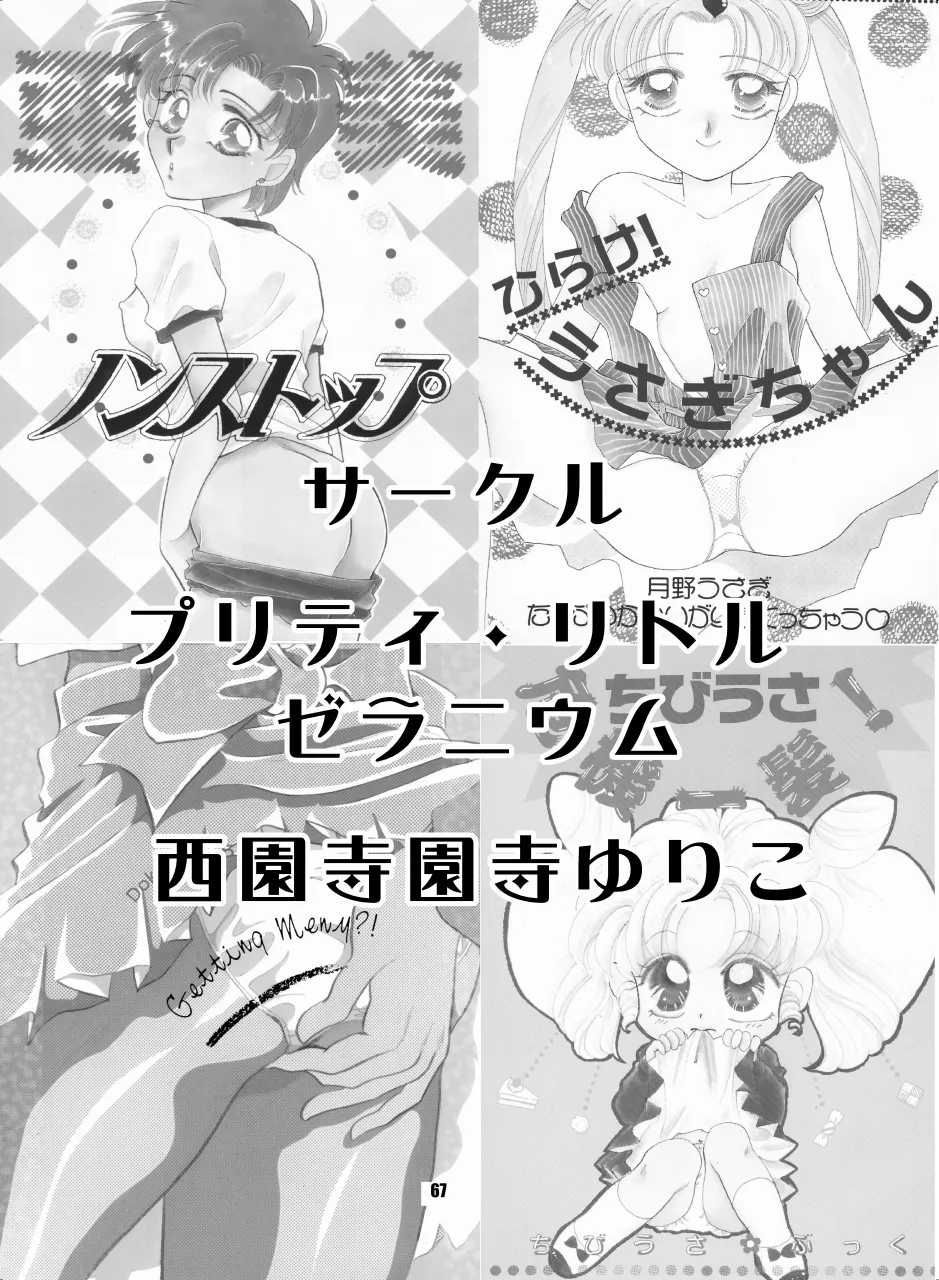 セラムン毒本 Page.66