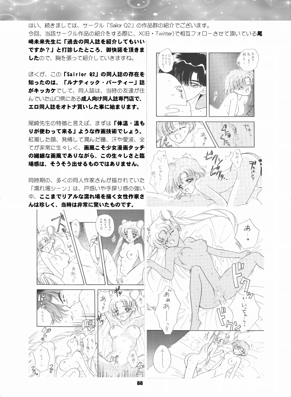 セラムン毒本 Page.87