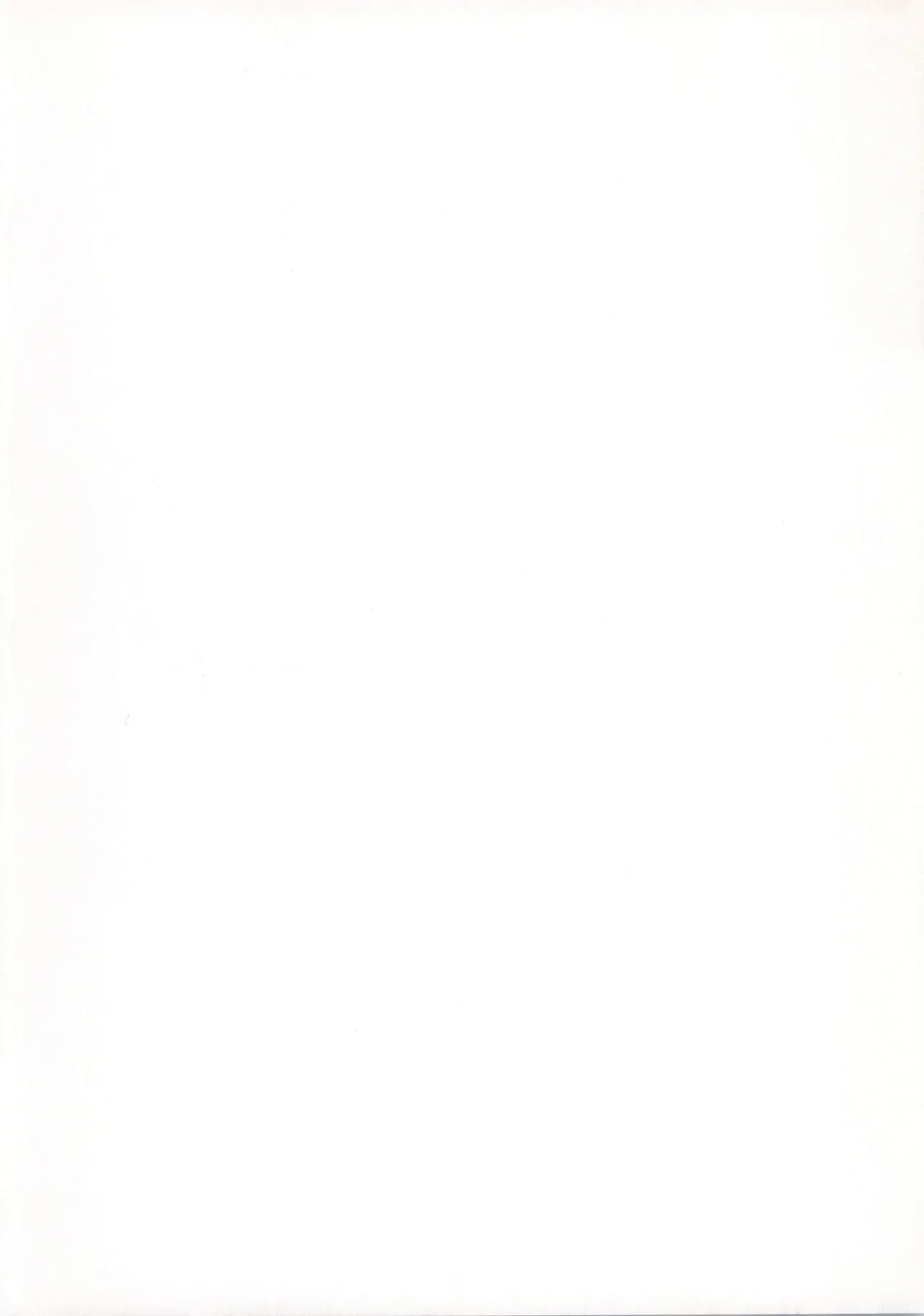 偽物?本物? Page.2