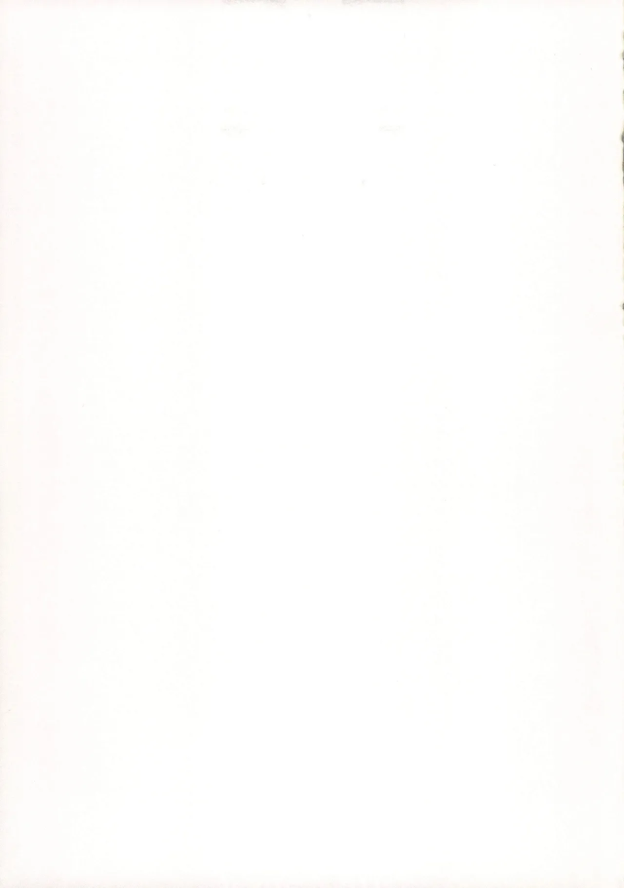 After Festival Page.19