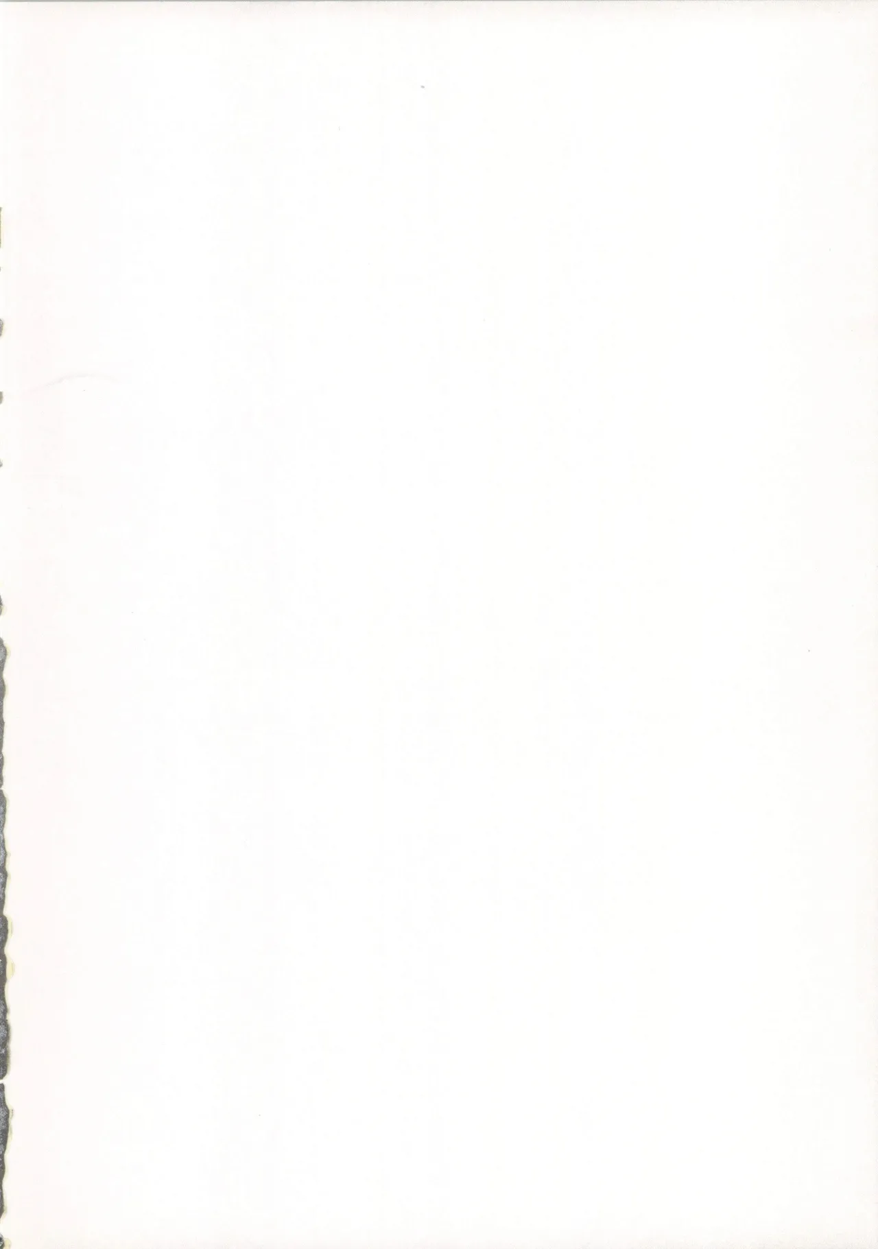 After Festival Page.2