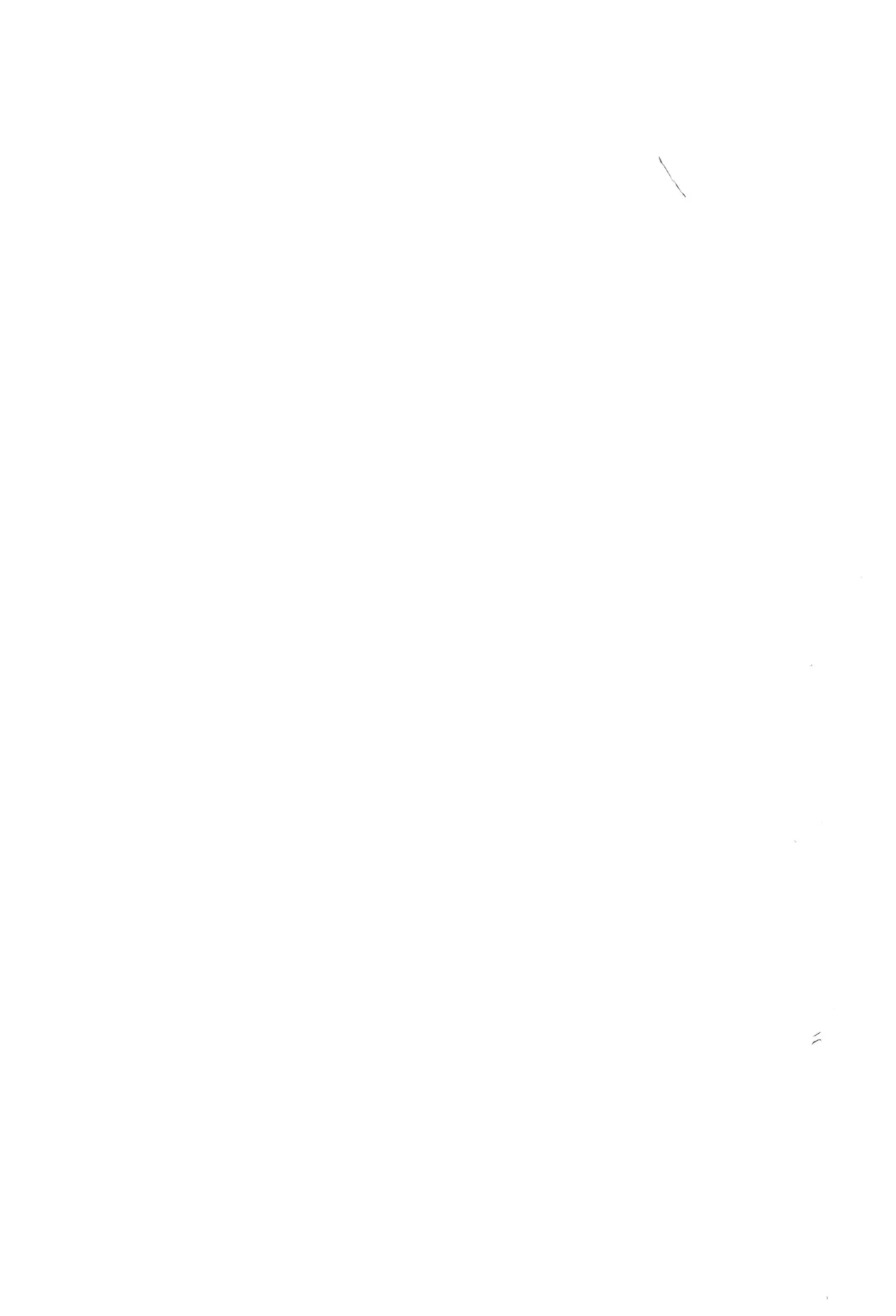 ズンダリンダ) Page.2