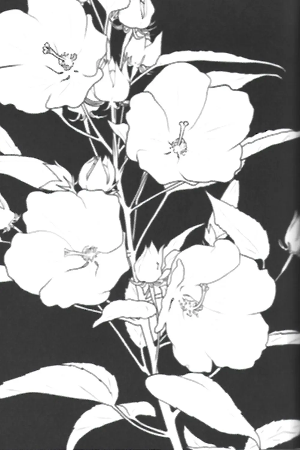 ナチュラルエゴトリッパー 2 Page.40