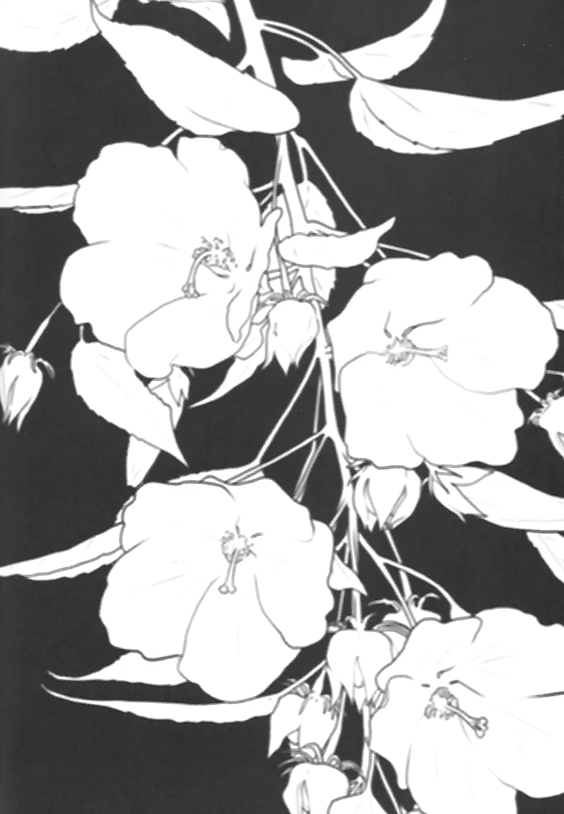 ナチュラルエゴトリッパー 2 Page.52