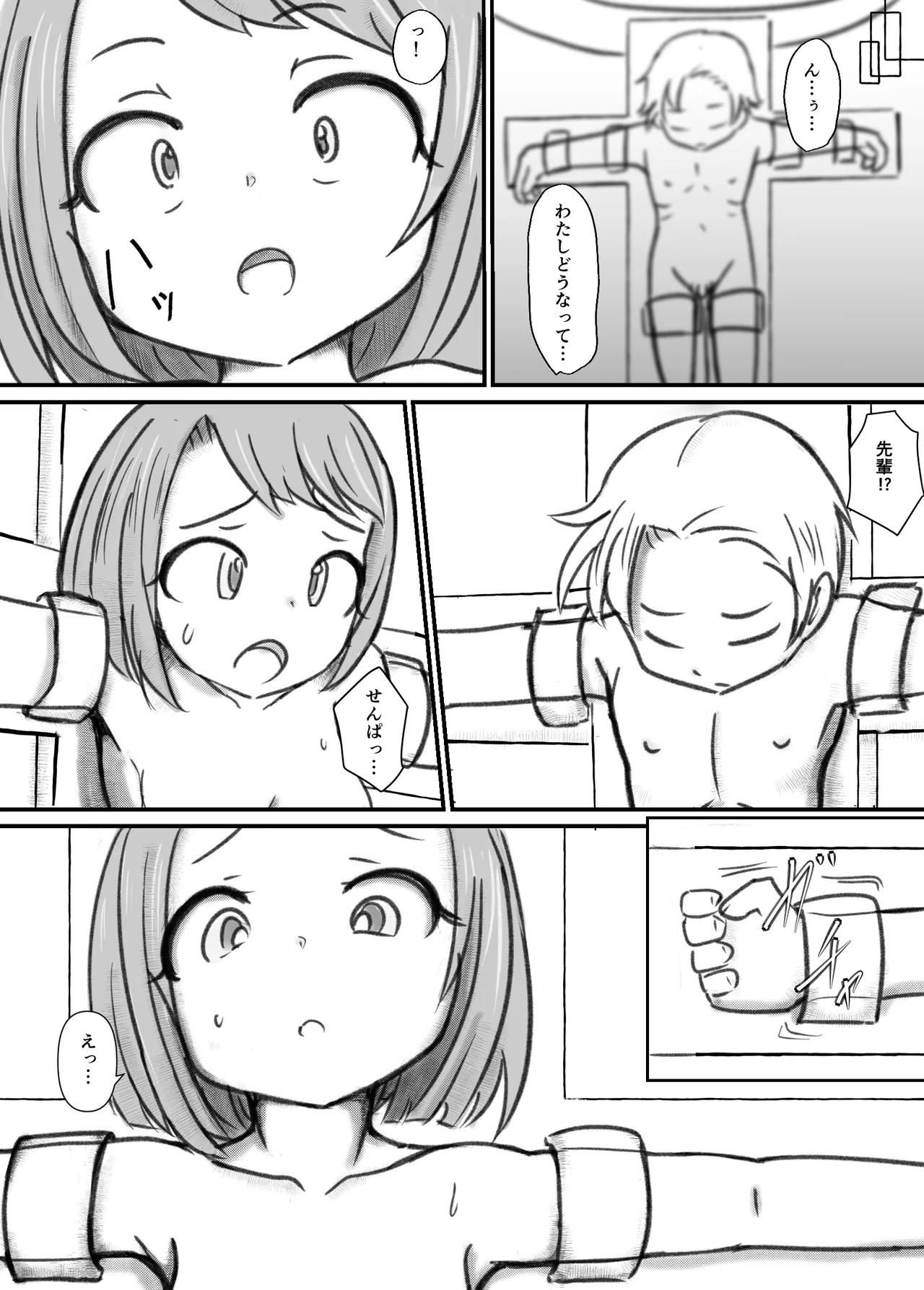 強制交尾実験 Page.5