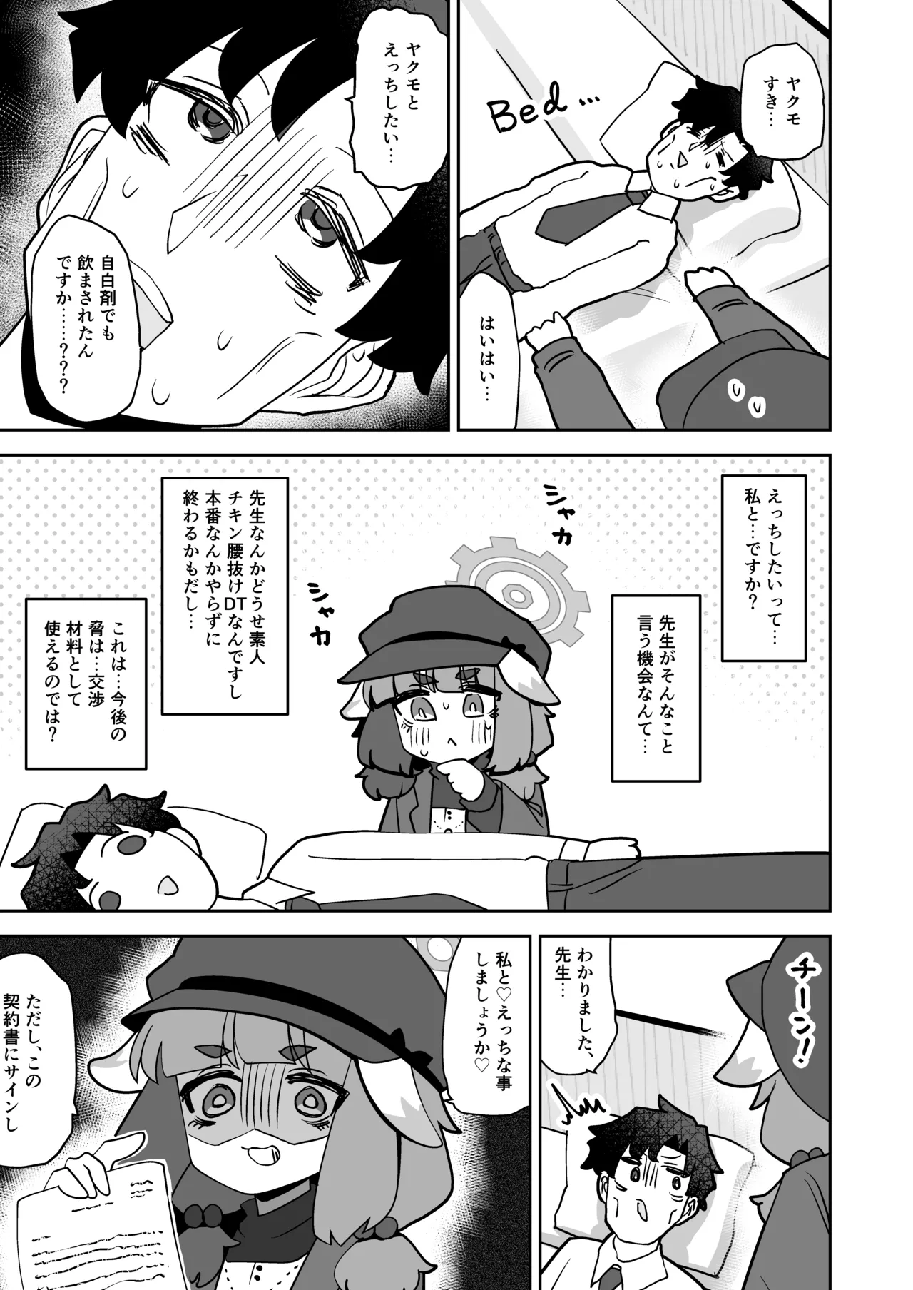 コンフィデンシャル・ビジネス・プラン Page.5