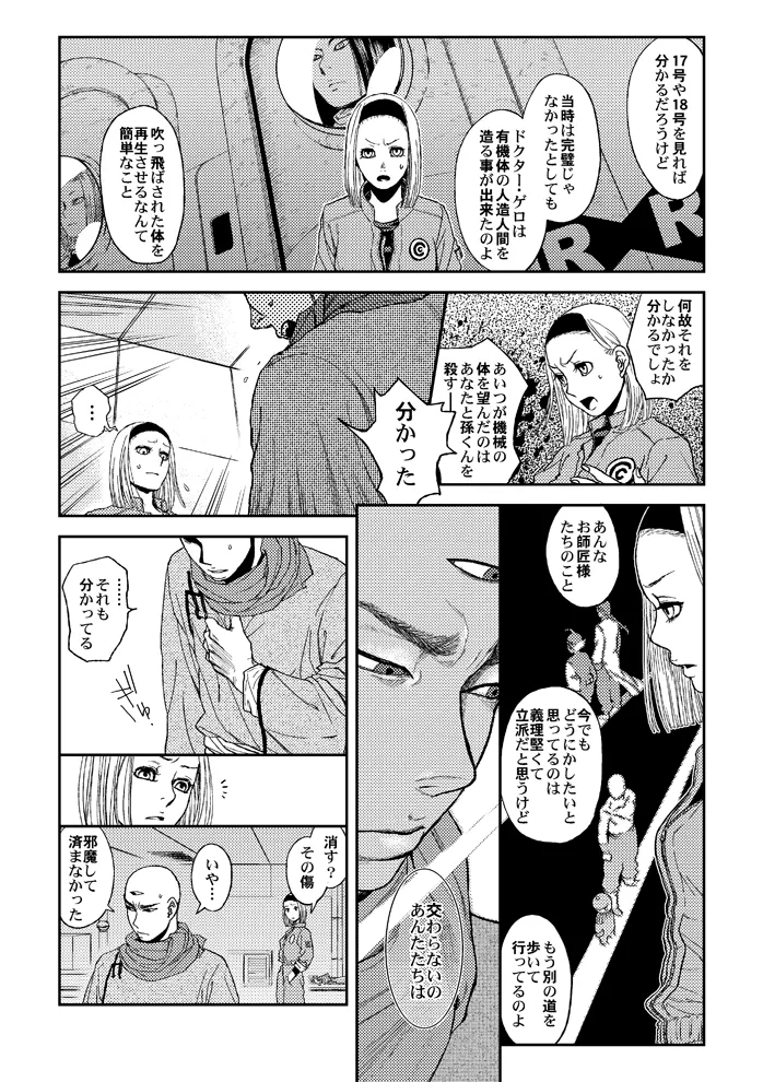 ドラゴンボール■覇気駄目「Slash」 Page.29