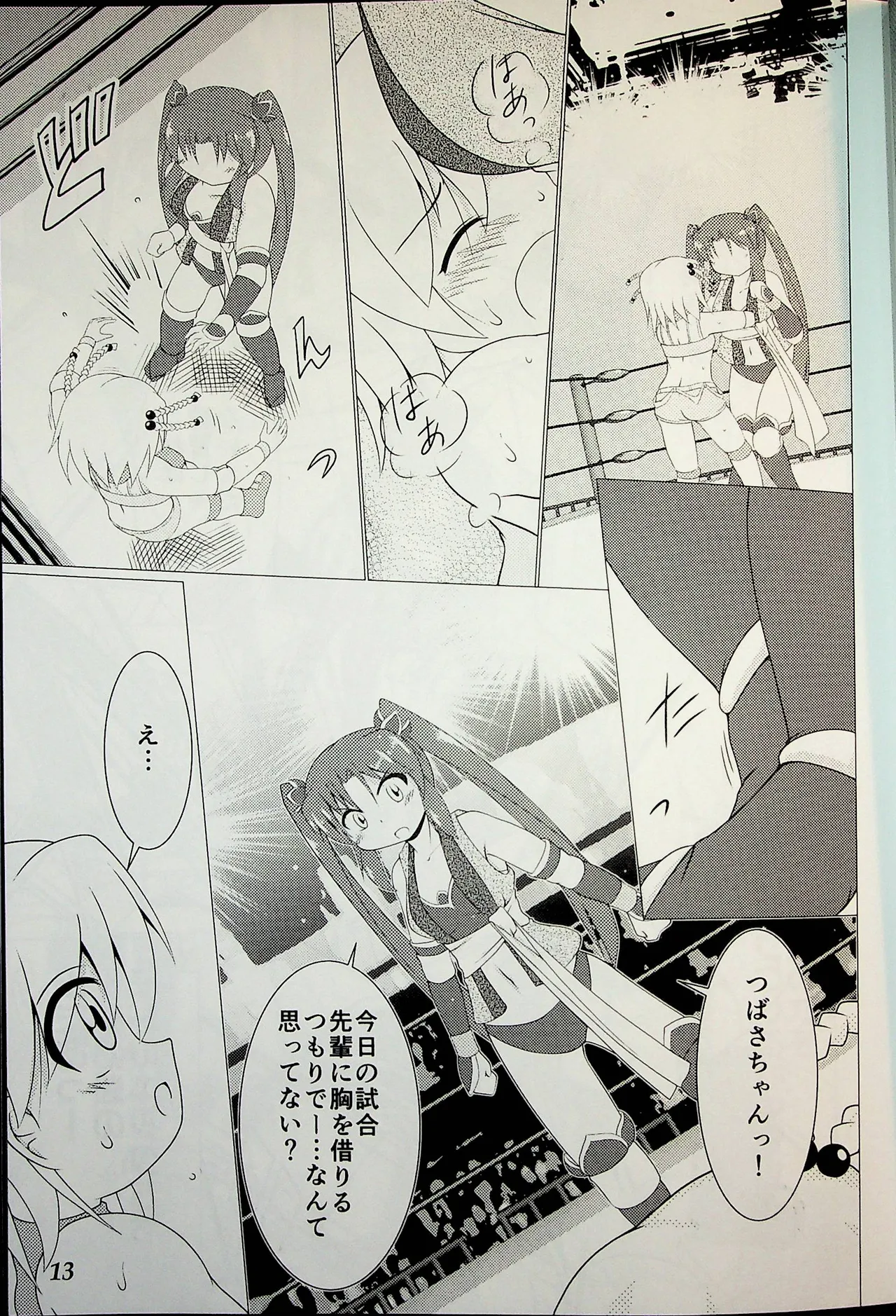 Wrestle Summit 2016 Page.12