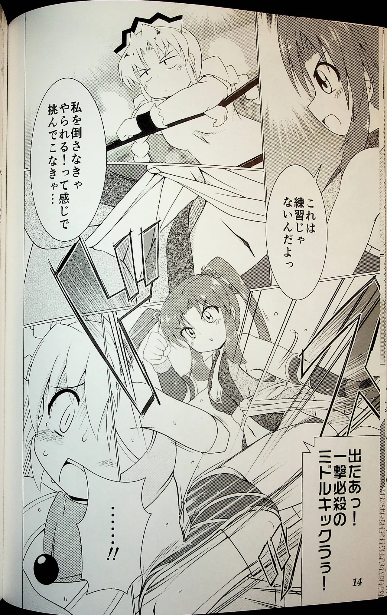 Wrestle Summit 2016 Page.13